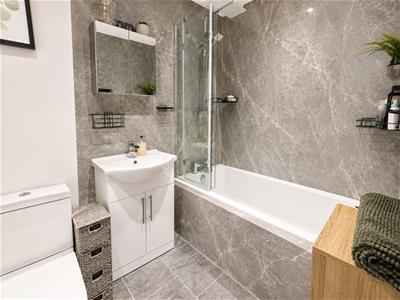 Picture 7